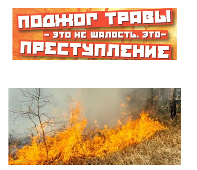 Пал сухой травы презентация
